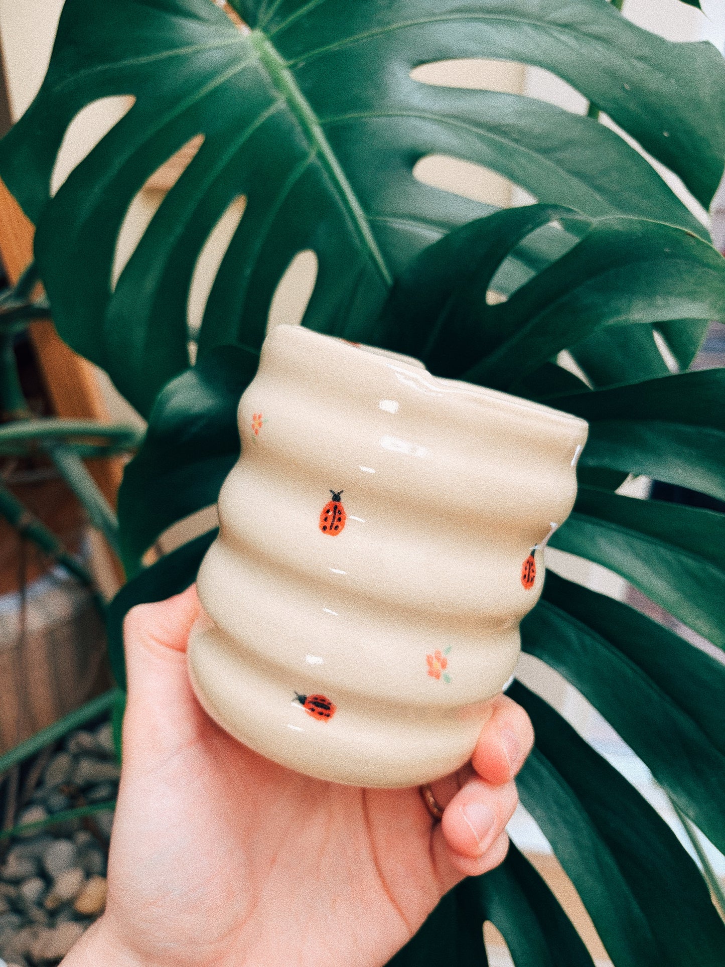 Lady Bug Sipper