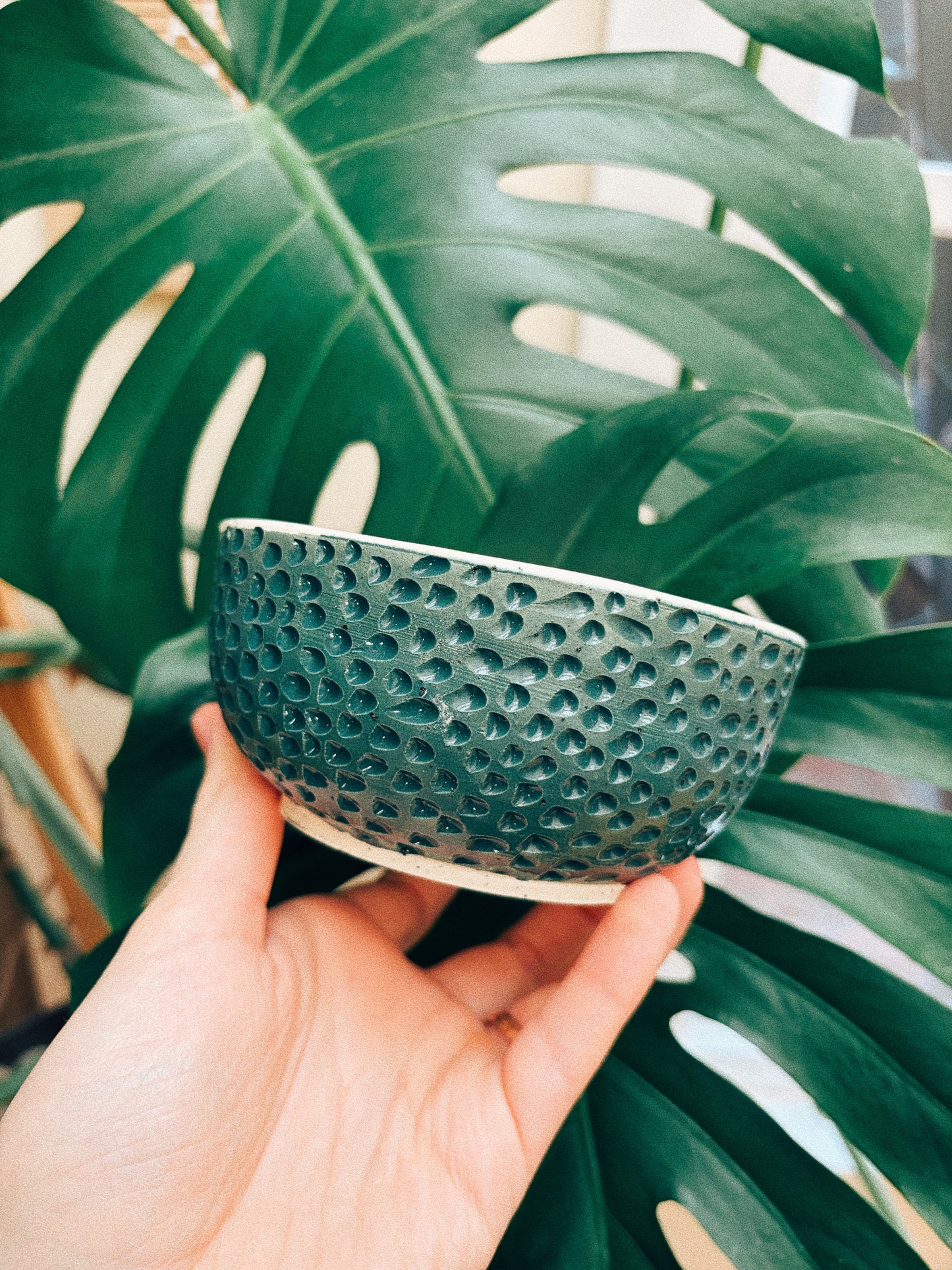 Snack Hour Bowl
