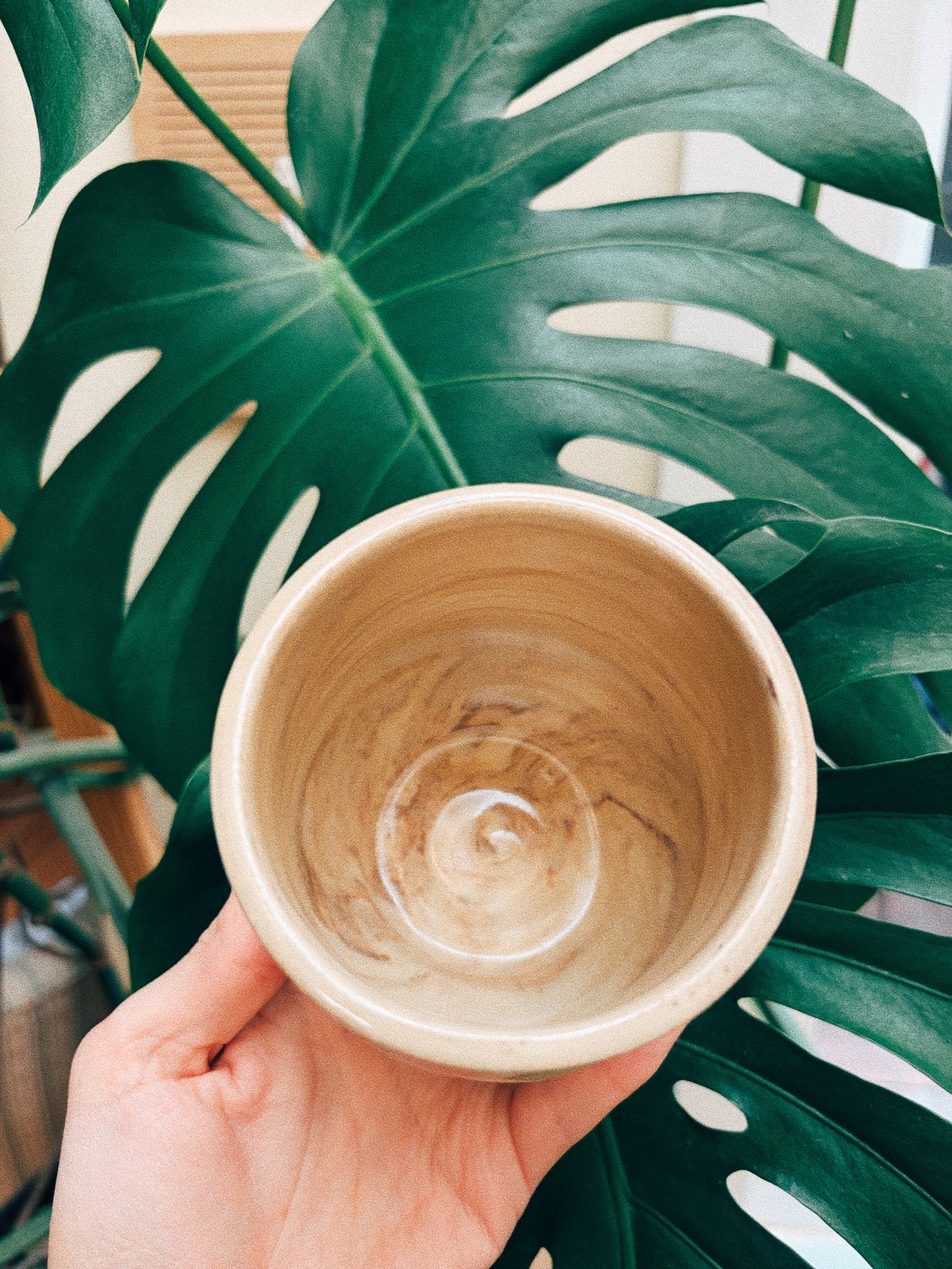 Tulip Field Cup