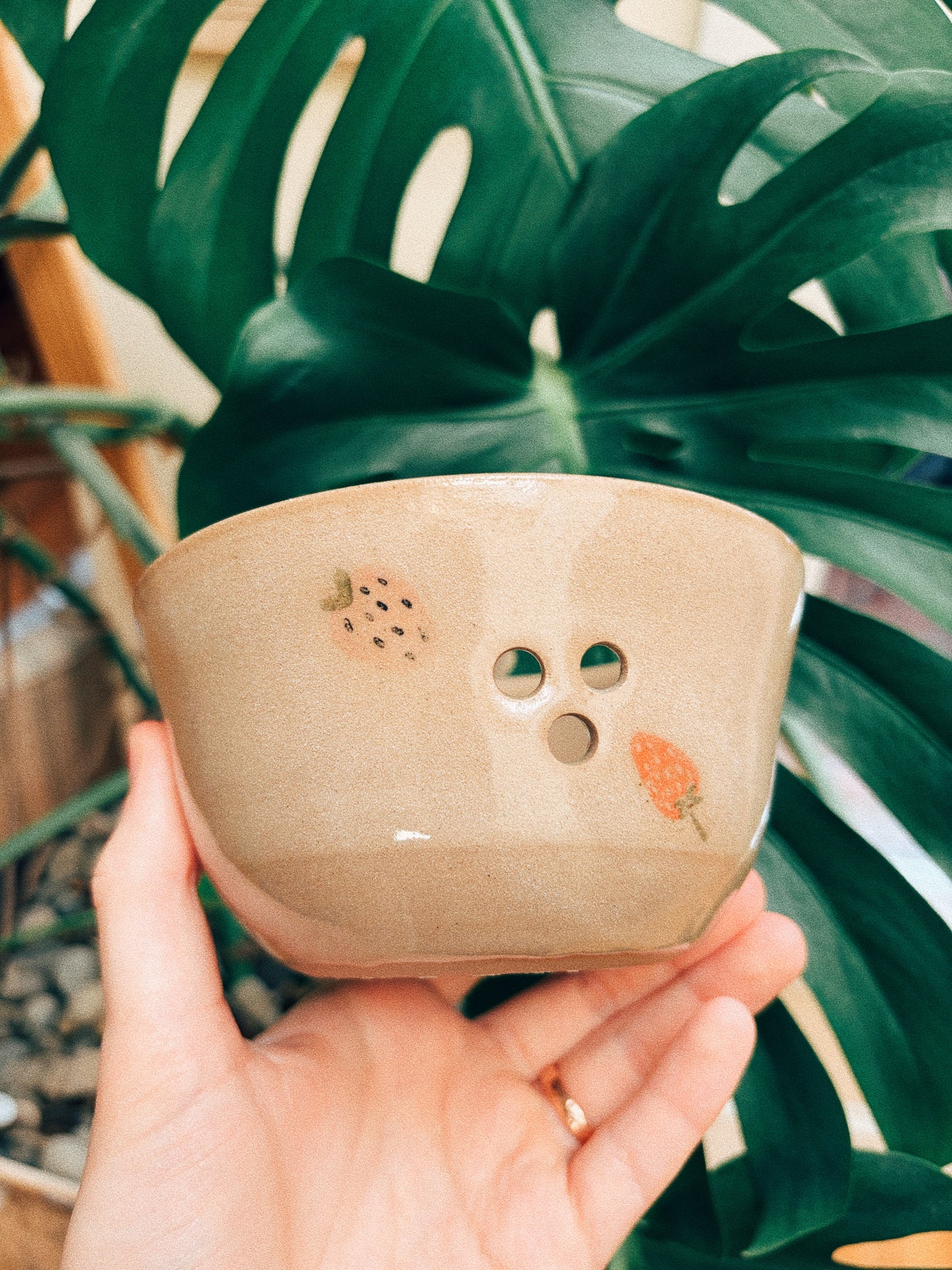 Berry Bowl