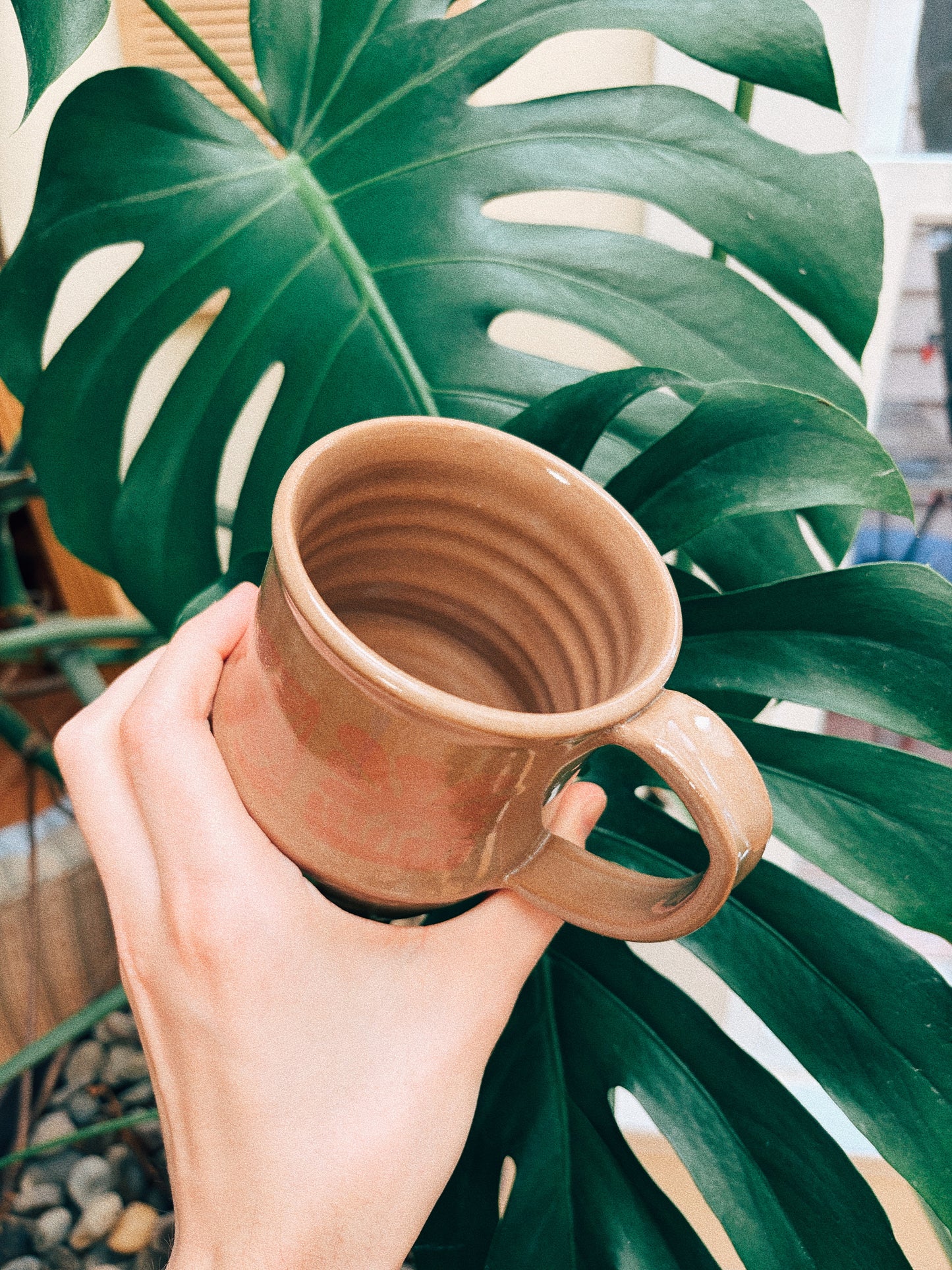 Tulip Field Mug