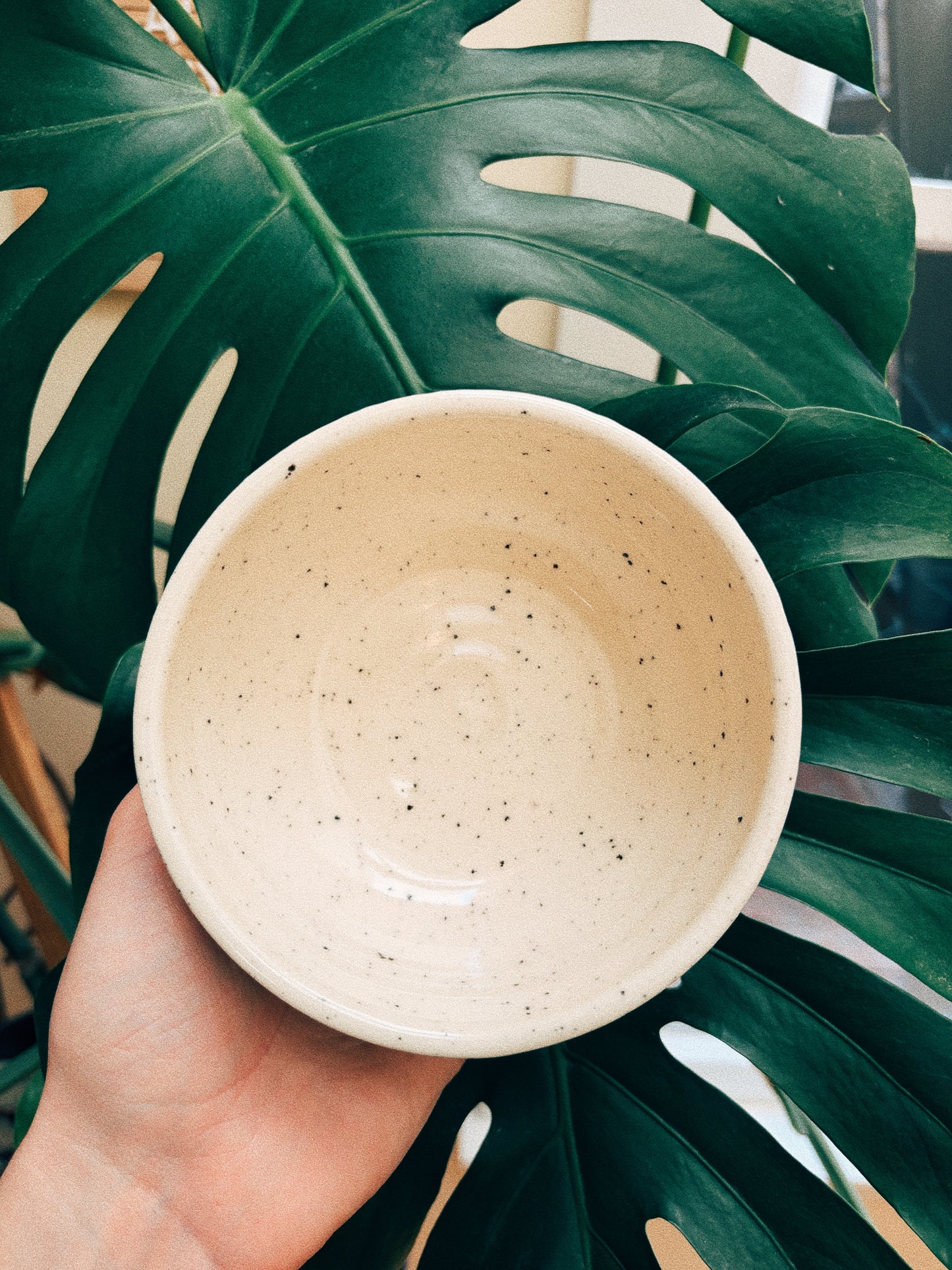 Snack Hour Bowl