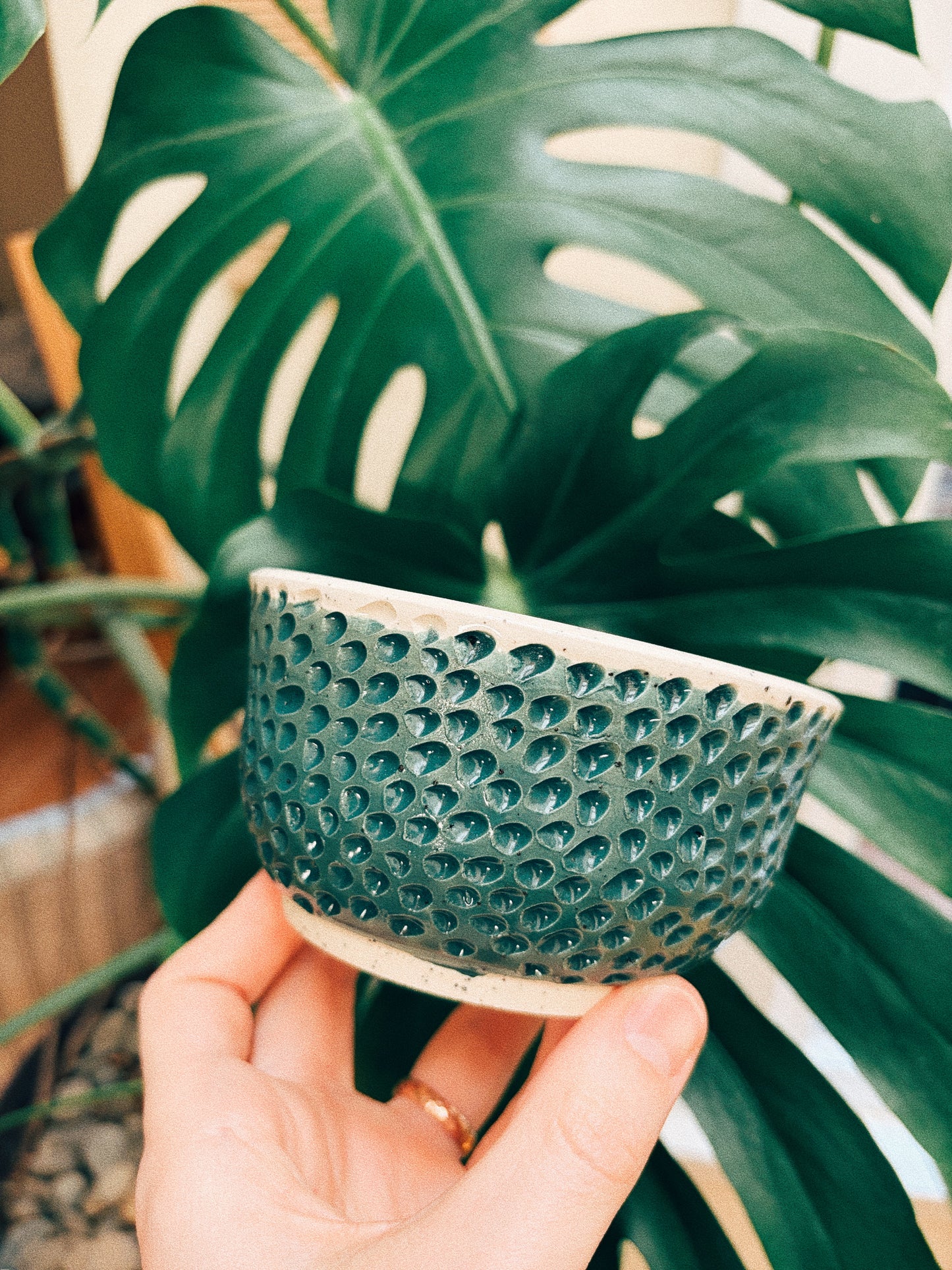 Snack Hour Bowl