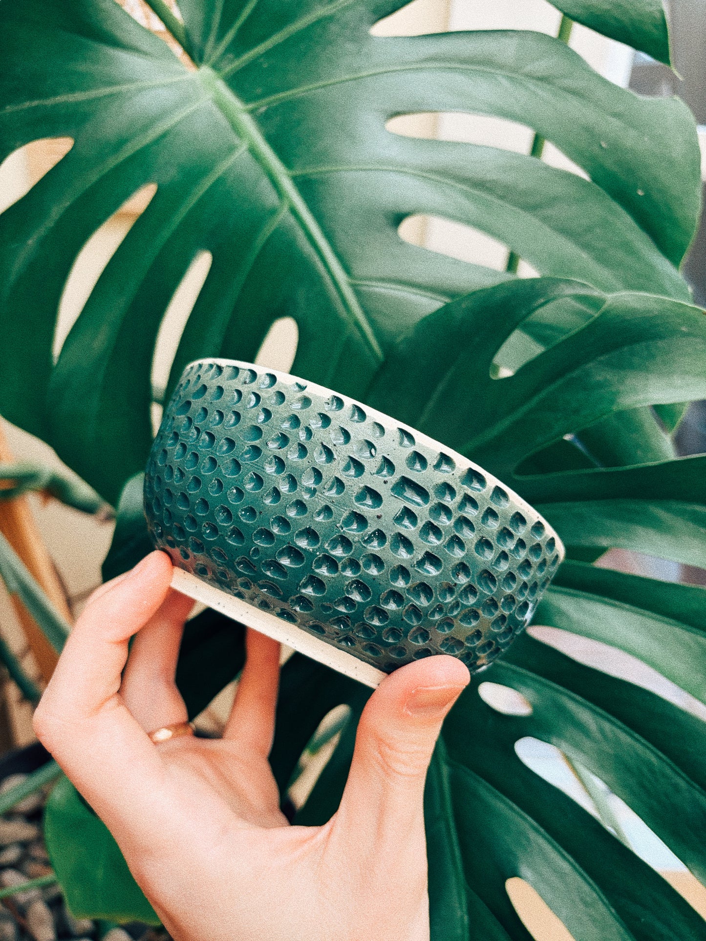 Snack Hour Bowl
