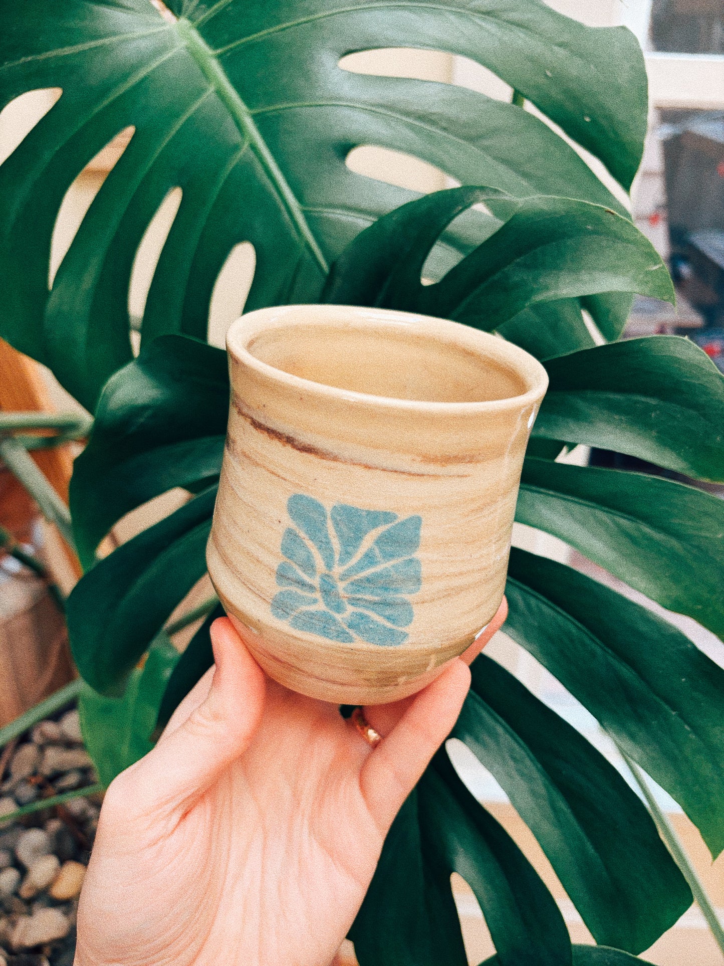 Tulip Field Cup