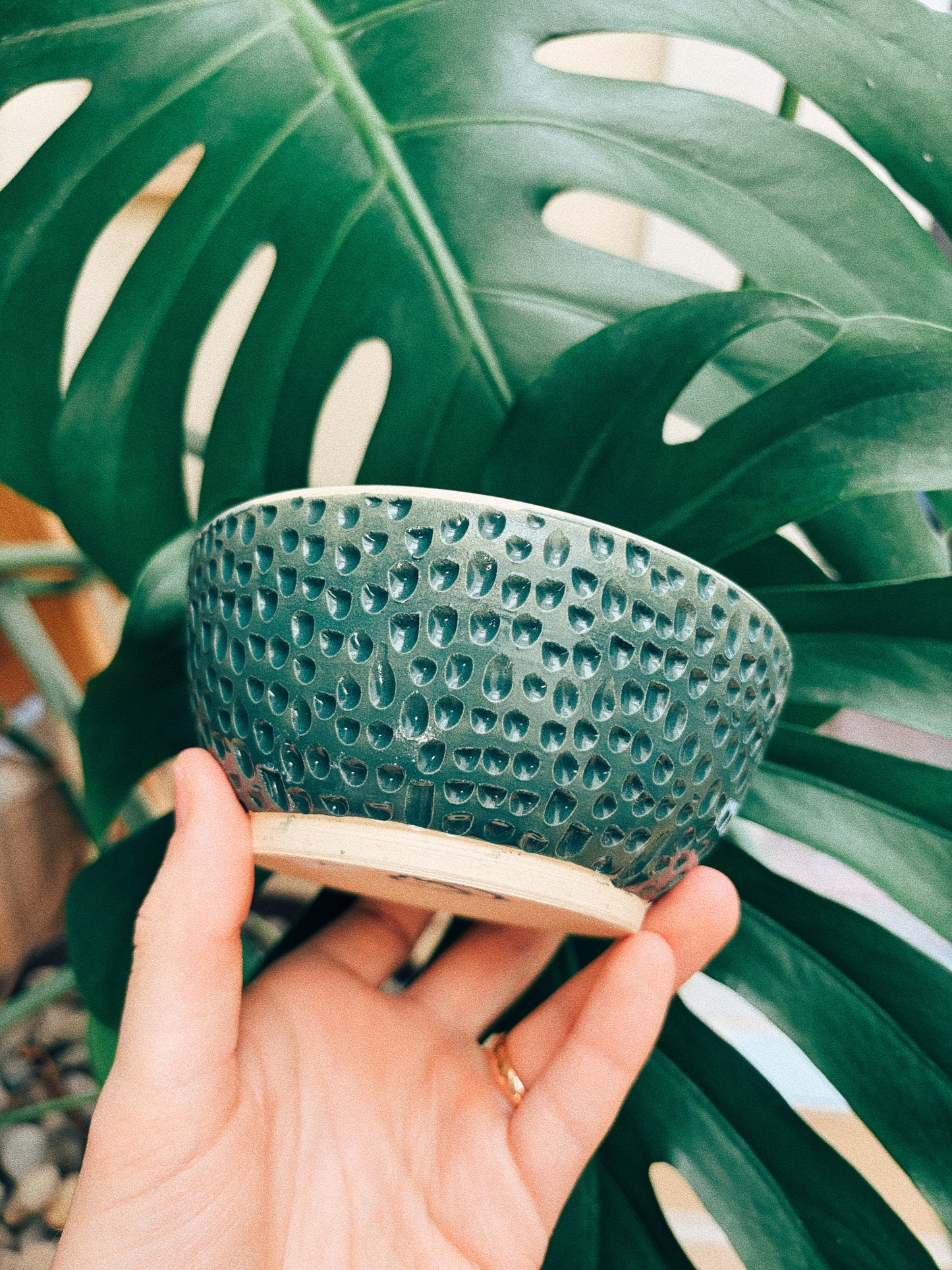 Snack Hour Bowl