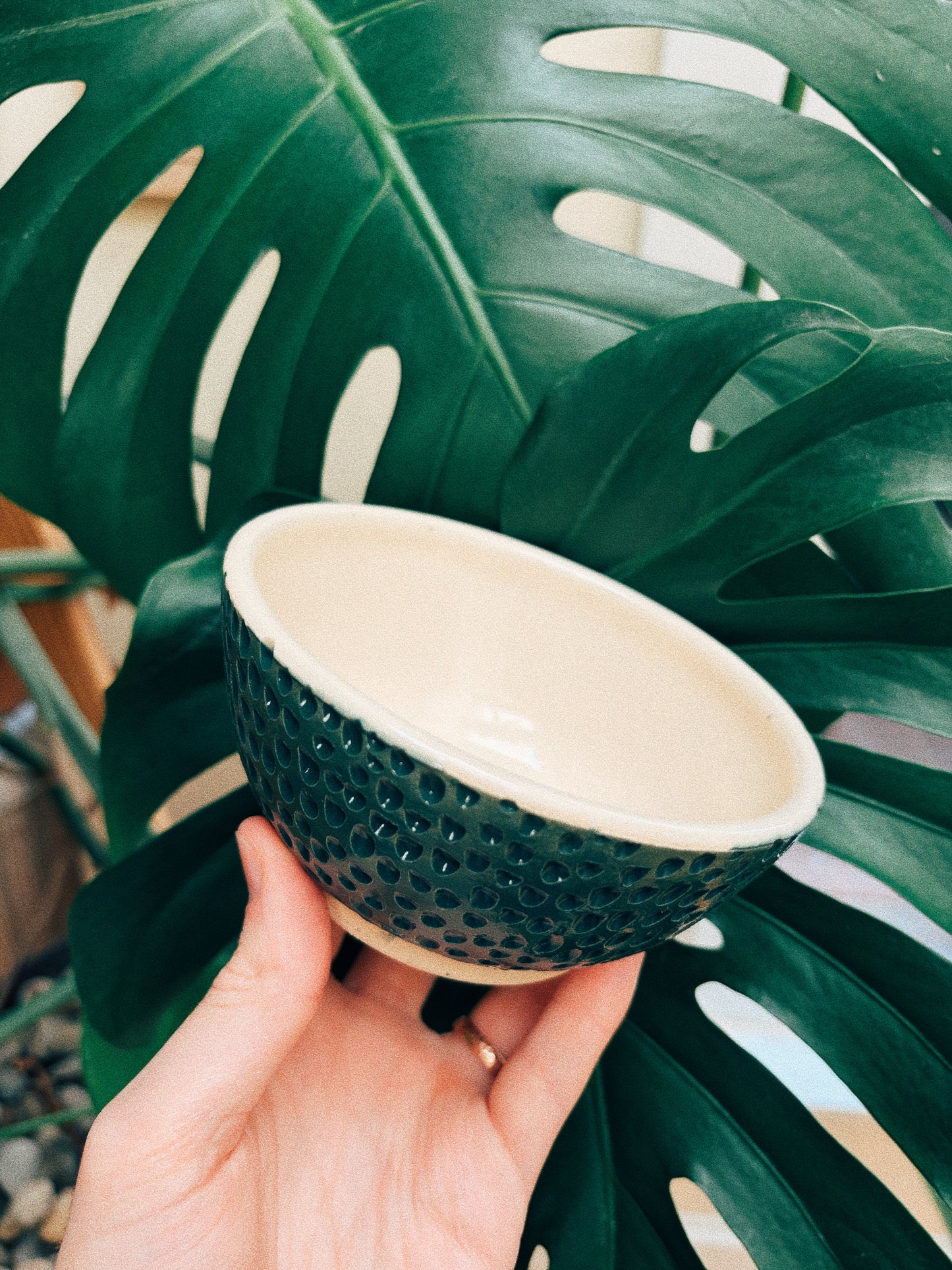 Snack Hour Bowl
