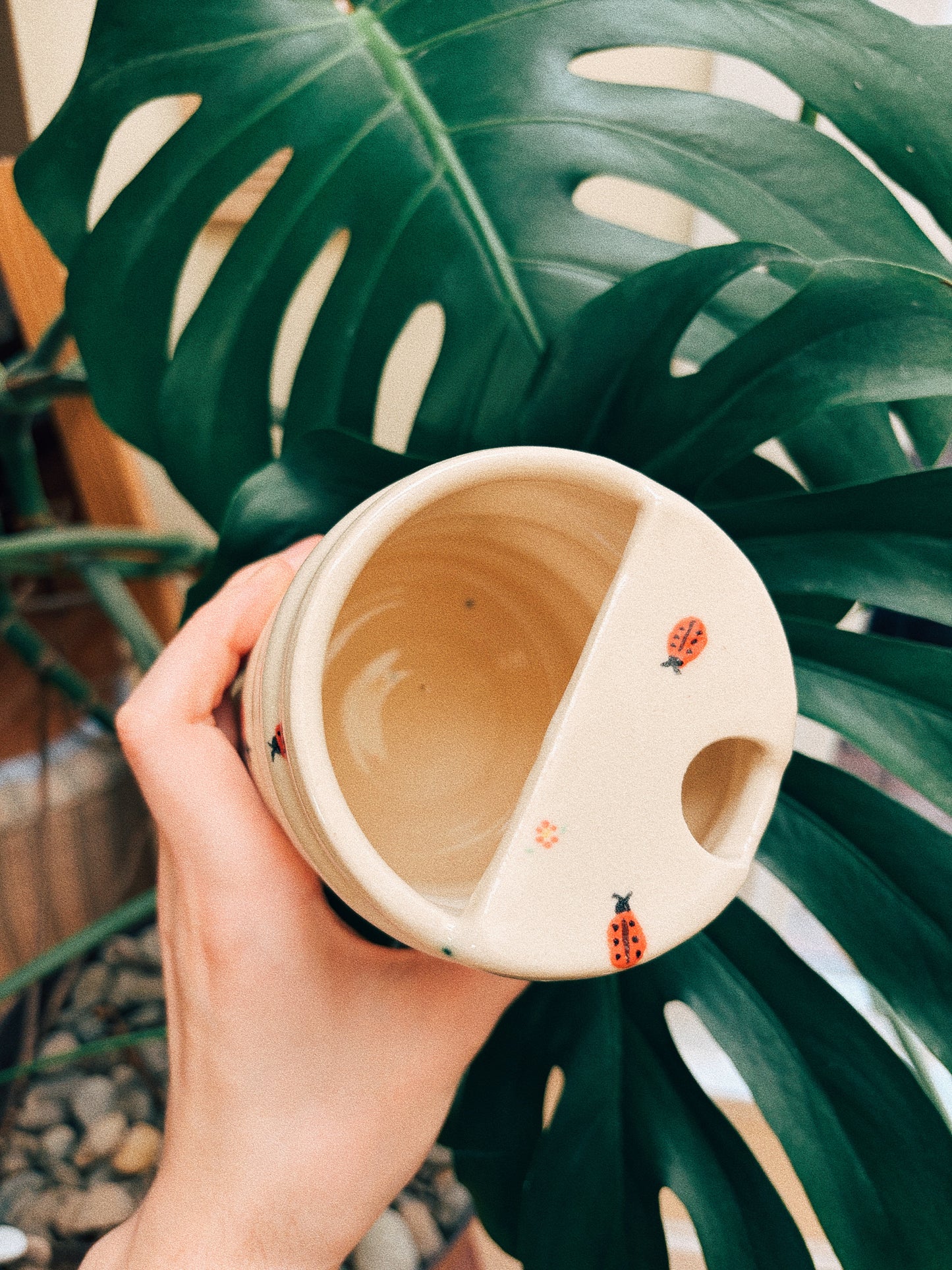 Lady Bug Sipper