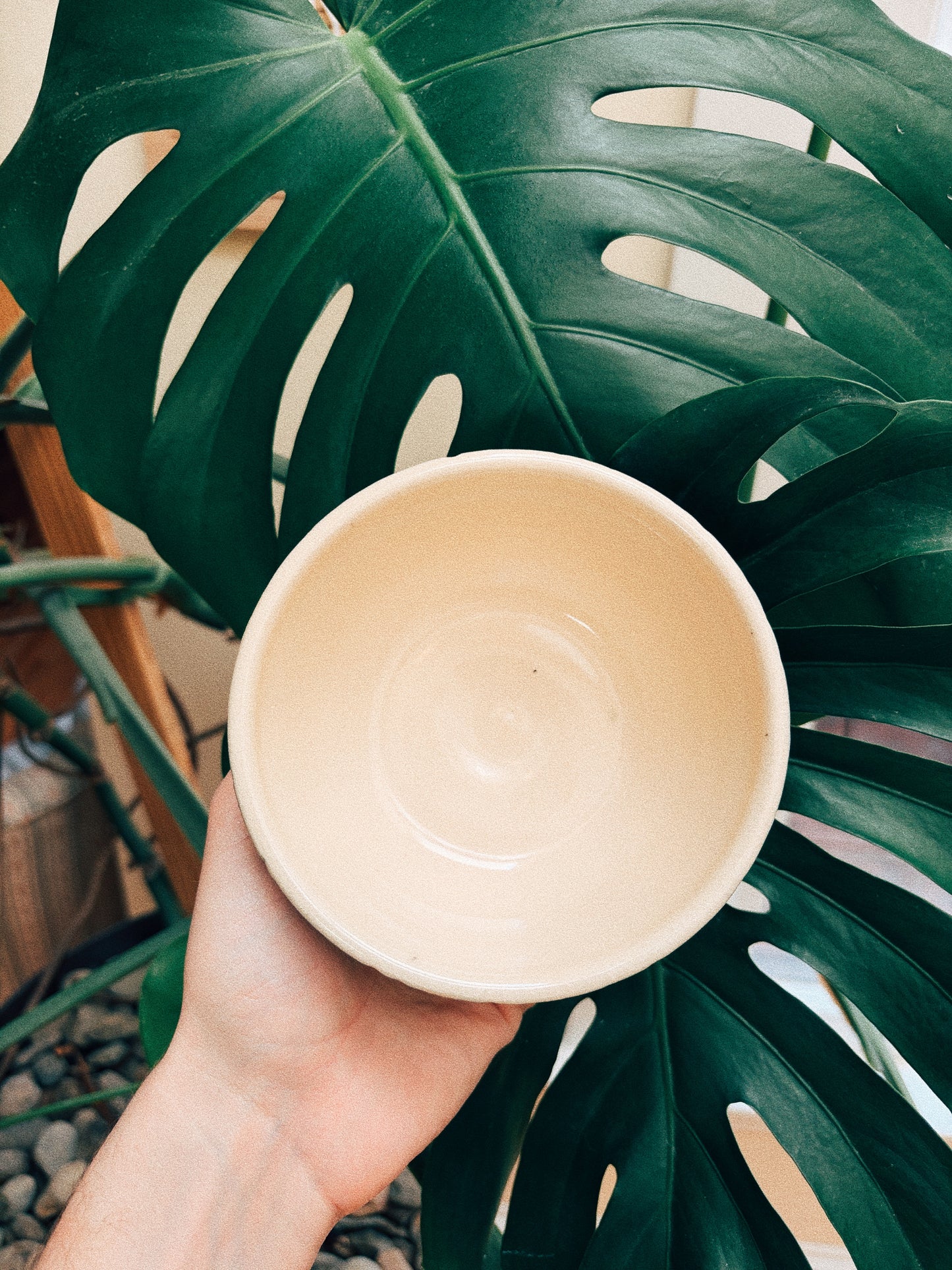 Snack Hour Bowl