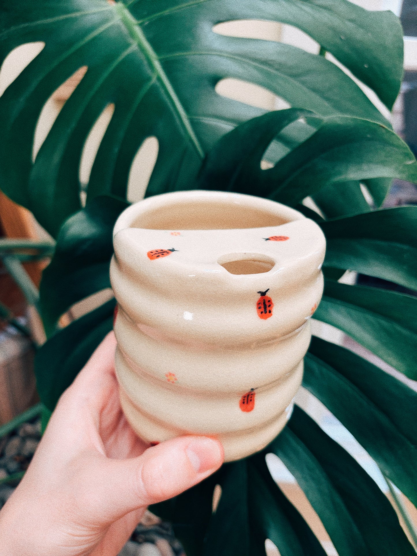 Lady Bug Sipper