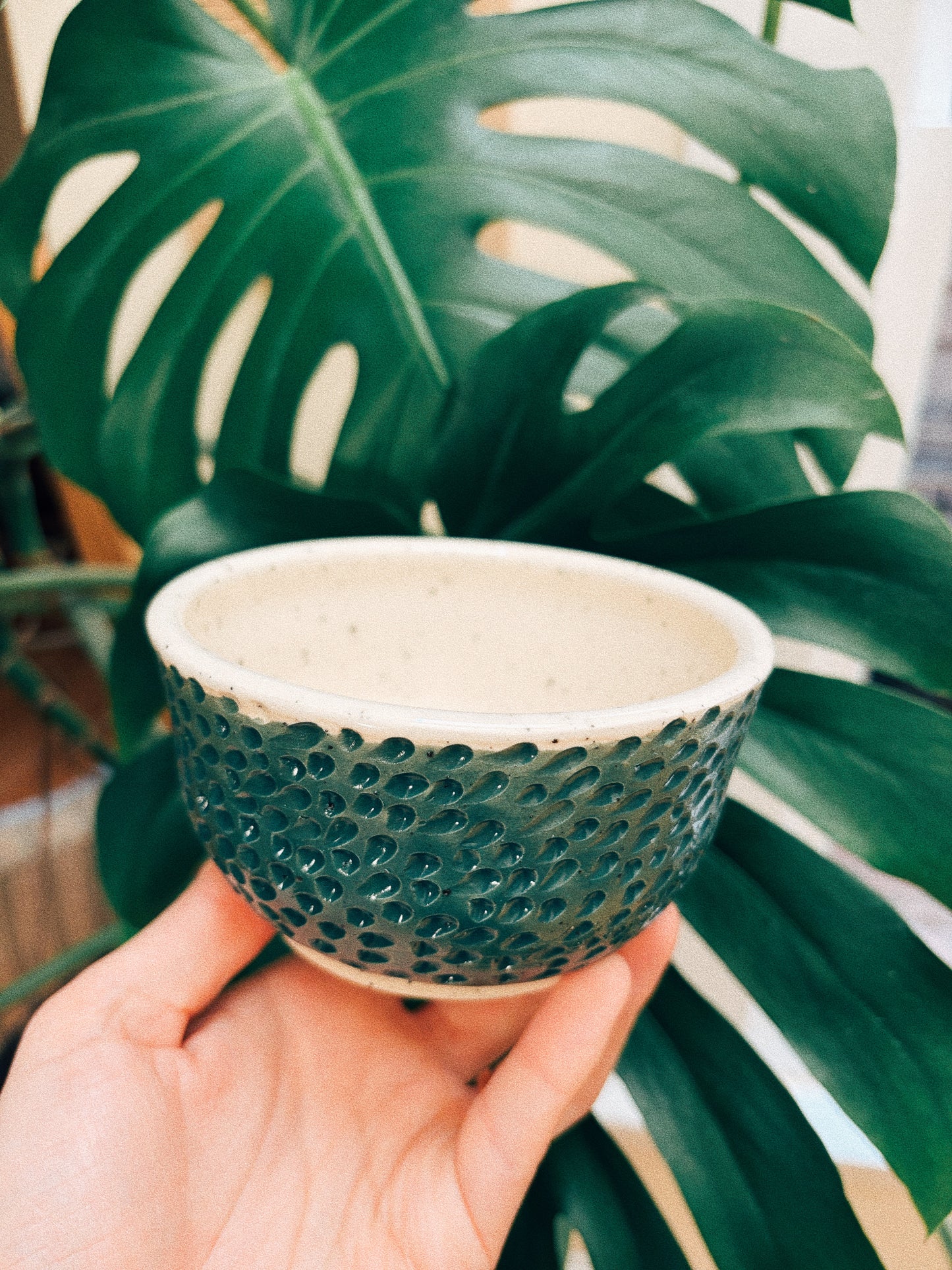 Snack Hour Bowl